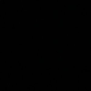 Meet your Posher, Ali